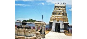 திருப்புலிவனம்